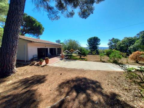 Moradia T4 Venda em Madalena e Beselga,Tomar