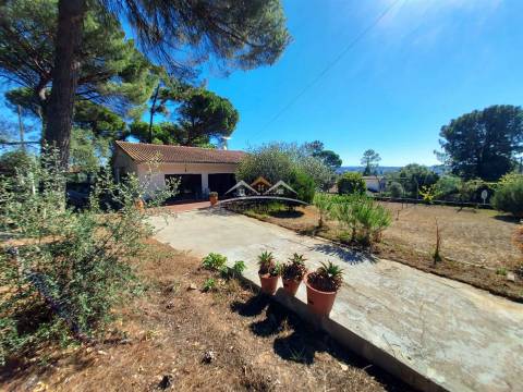 Moradia T4 Venda em Madalena e Beselga,Tomar