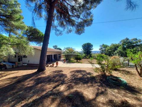 Moradia T4 Venda em Madalena e Beselga,Tomar