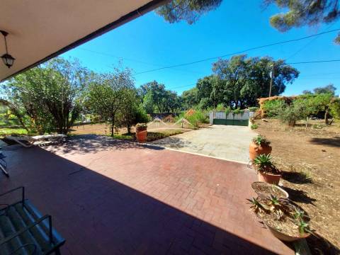 Moradia T4 Venda em Madalena e Beselga,Tomar