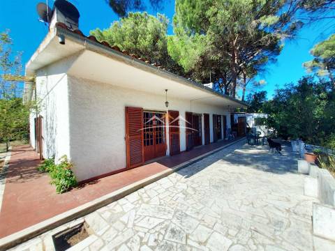 Moradia T4 Venda em Madalena e Beselga,Tomar