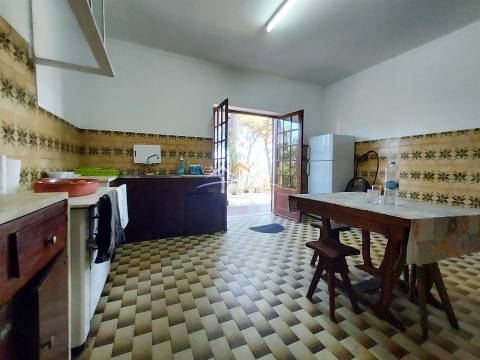 Moradia T4 Venda em Madalena e Beselga,Tomar