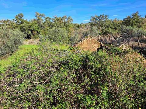 Moradia T3 em construção na zona de Ferreira do Zêzere e de Tomar