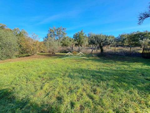 Moradia T3 em construção na zona de Ferreira do Zêzere e de Tomar