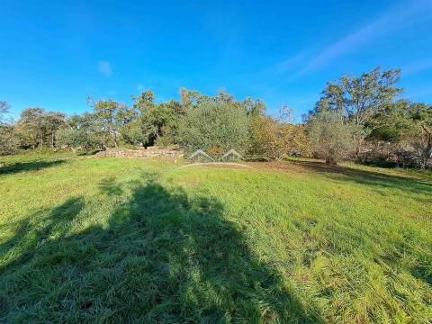 Moradia T3 em construção na zona de Ferreira do Zêzere e de Tomar