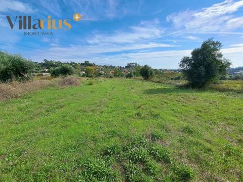 Terreno com viabilidade de construção a 5 min de Tomar