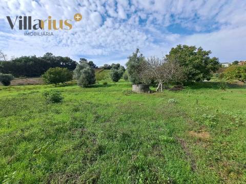 Terreno com viabilidade de construção a 5 min de Tomar
