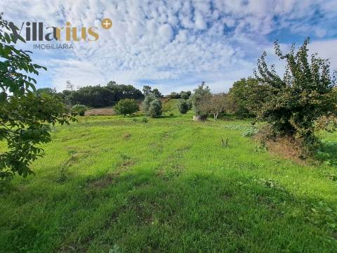 Terreno com viabilidade de construção a 5 min de Tomar