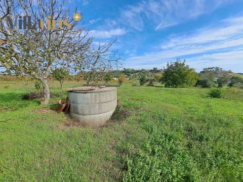 Terreno com viabilidade de construção a 5 min de Tomar