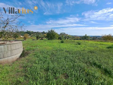 Terreno com viabilidade de construção a 5 min de Tomar