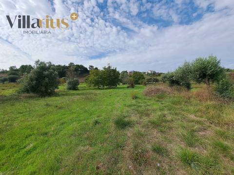 Terreno com viabilidade de construção a 5 min de Tomar