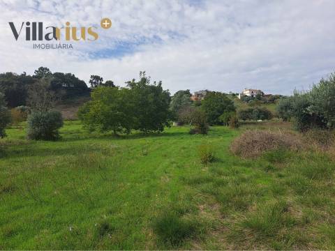Terreno com viabilidade de construção a 5 min de Tomar