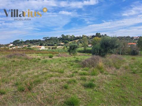 Terreno com viabilidade de construção a 5 min de Tomar