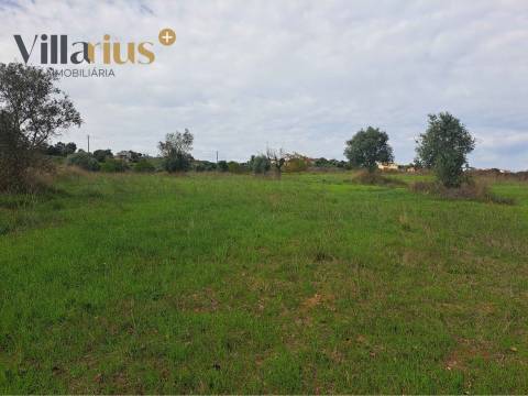 Terreno com viabilidade de construção a 5 min de Tomar