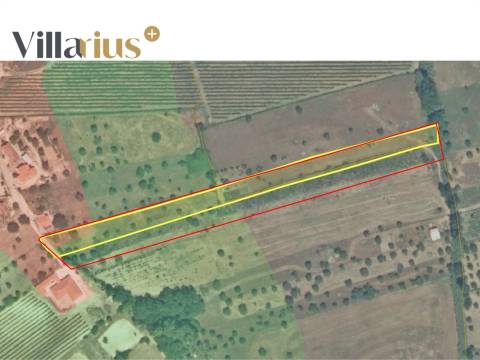 Terreno com viabilidade de construção a 5 min de Tomar