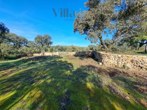 Terreno Plano com Viabilidade de Construção