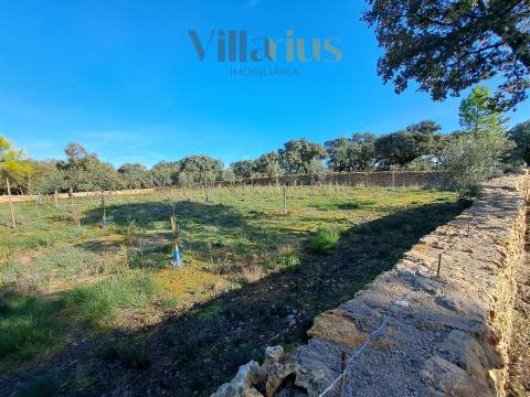Terreno Plano com Viabilidade de Construção