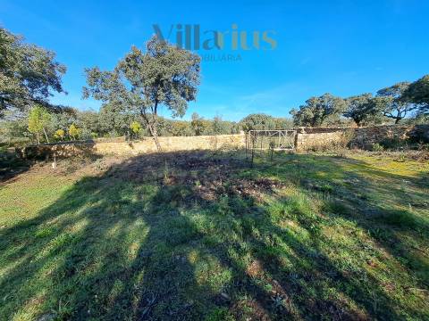 Terreno Plano com Viabilidade de Construção
