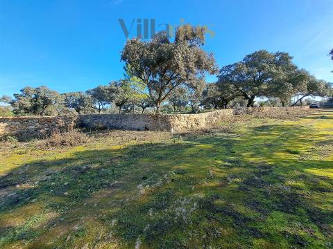 Terreno Plano com Viabilidade de Construção