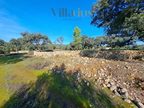 Terreno Plano com Viabilidade de Construção