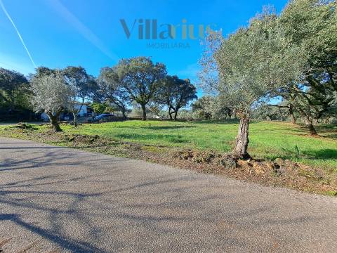 Terreno Plano com Viabilidade de Construção