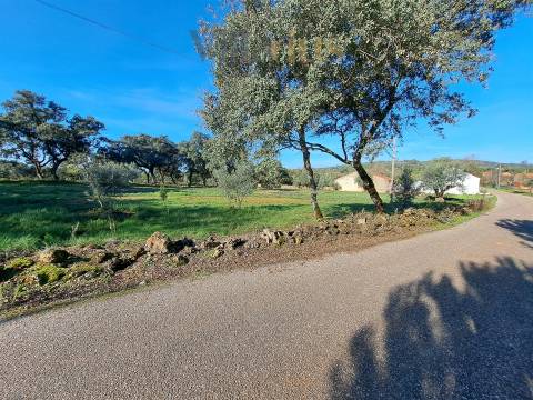 Terreno Plano com Viabilidade de Construção