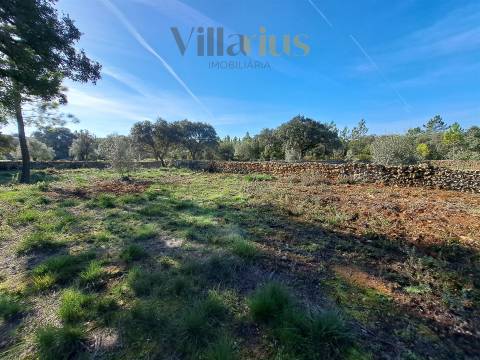 Terreno Plano com Viabilidade de Construção