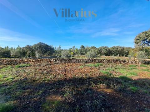 Terreno Plano com Viabilidade de Construção