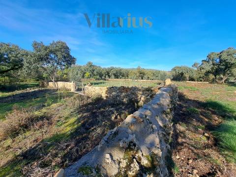 Terreno Plano com Viabilidade de Construção