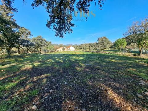 Terreno Plano com Viabilidade de Construção