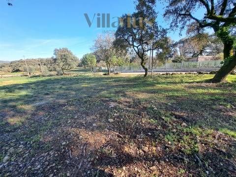 Terreno Plano com Viabilidade de Construção