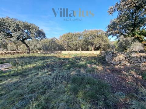 Terreno Plano com Viabilidade de Construção