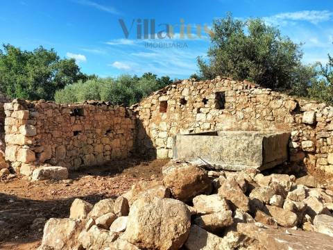 Casa em Ferreira do Zêzere em Pedra com Terreno Amplo