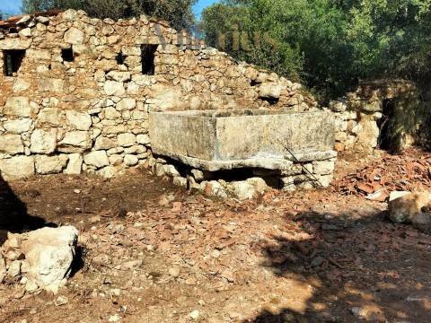 Casa em Ferreira do Zêzere em Pedra com Terreno Amplo