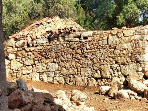 Casa em Ferreira do Zêzere em Pedra com Terreno Amplo