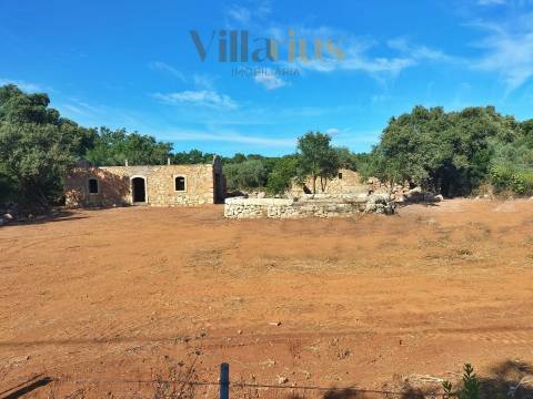 Casa em Ferreira do Zêzere em Pedra com Terreno Amplo