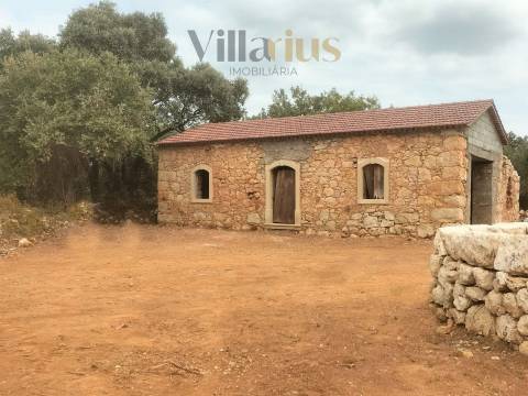 Casa em Ferreira do Zêzere em Pedra com Terreno Amplo
