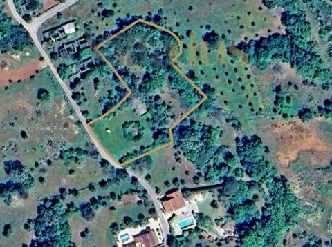 Casa em Ferreira do Zêzere em Pedra com Terreno Amplo