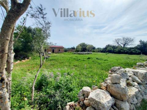 Casa em Ferreira do Zêzere em Pedra com Terreno Amplo