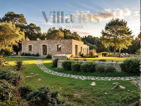 Casa em Ferreira do Zêzere em Pedra com Terreno Amplo