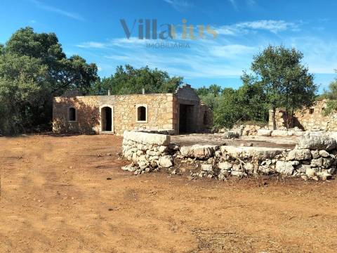 Casa em Ferreira do Zêzere em Pedra com Terreno Amplo