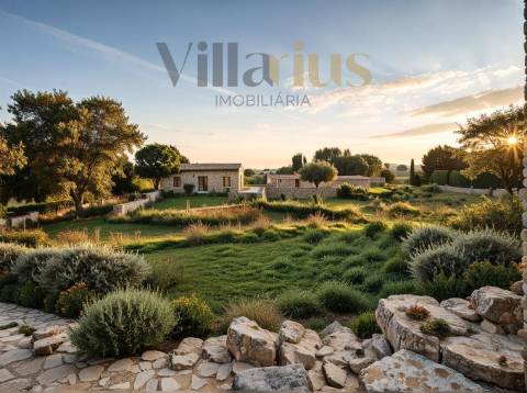 Casa em Ferreira do Zêzere em Pedra com Terreno Amplo