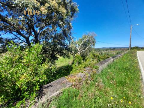Terreno p/ Investimento - Viabilidade de Construção