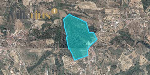 Terreno p/ Investimento - Viabilidade de Construção