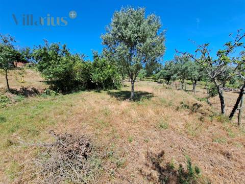 Terreno Urbano com Vista e Acesso Rápido a Tomar | Villarius Imobiliária