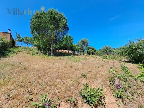 Terreno Urbano com Vista e Acesso Rápido a Tomar | Villarius Imobiliária