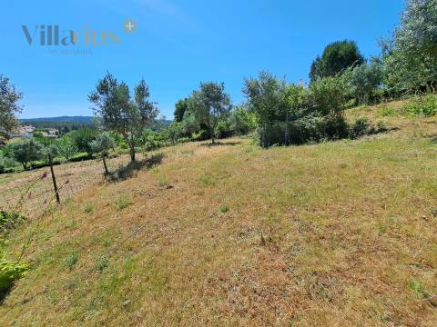 Terreno Urbano com Vista e Acesso Rápido a Tomar | Villarius Imobiliária