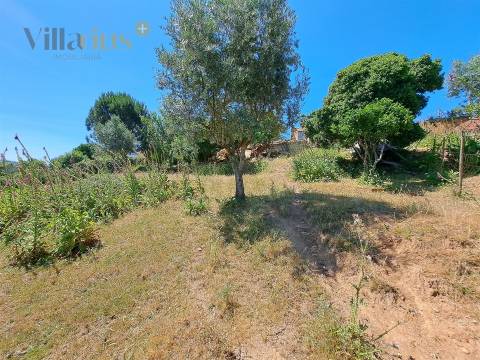 Terreno Urbano com Vista e Acesso Rápido a Tomar | Villarius Imobiliária