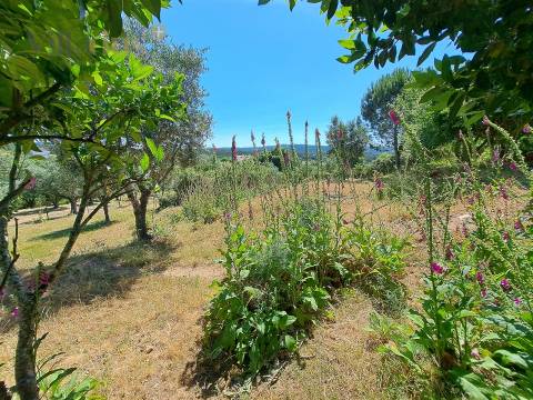 Terreno Urbano com Vista e Acesso Rápido a Tomar | Villarius Imobiliária