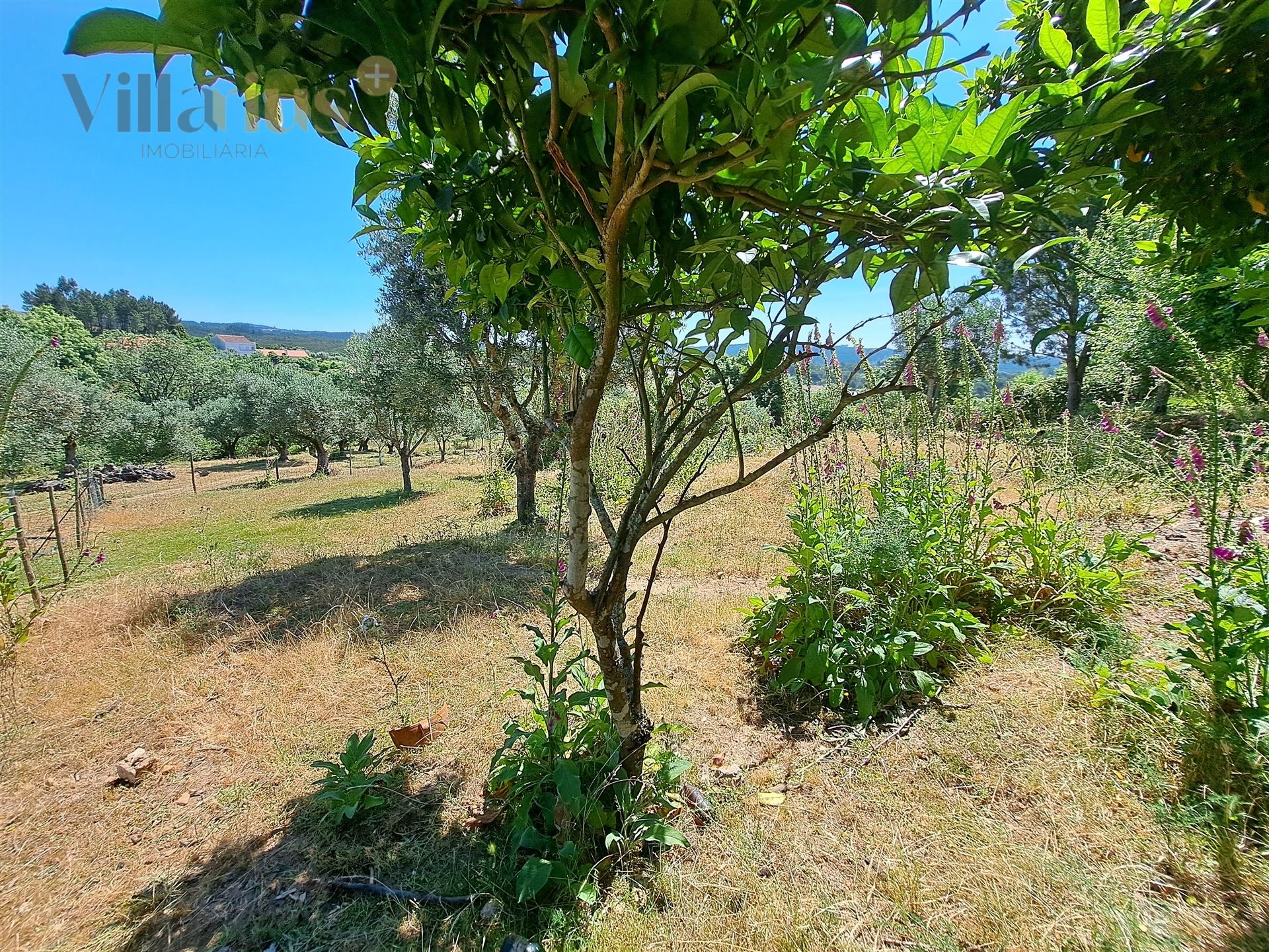 Terreno Urbano com Vista e Acesso Rápido a Tomar &#124; Villarius Imobiliária